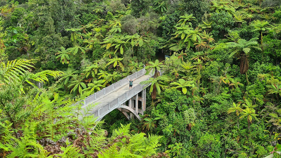 Bridge to Nowhere2