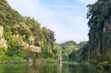 Whanganui River Journey